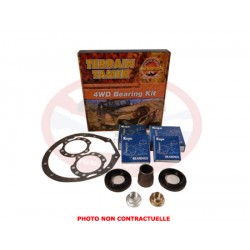 DIFF OVERHAUL KIT   WITH FACTORY DIFF LOCK