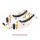 Kit suspension PRO complet [Terrain Tamer] - Toyota Land Cruiser Série 70